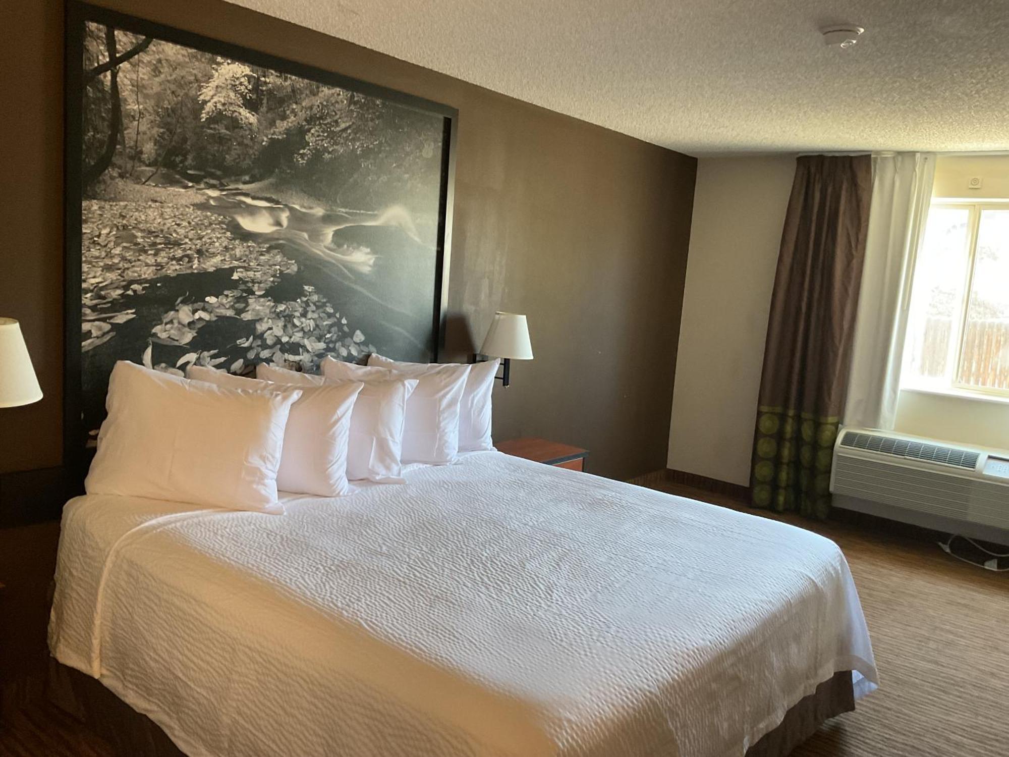 Super 8 By Wyndham Colorado Springs Airport Motel Ngoại thất bức ảnh